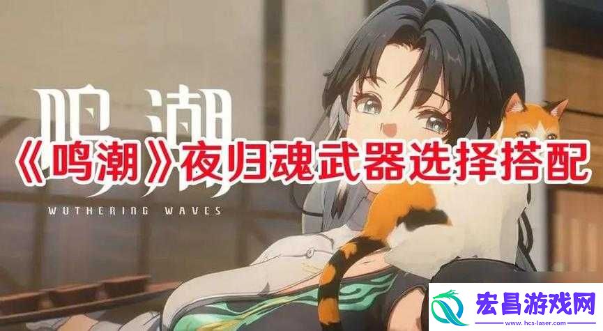 鸣潮手游夜归魂武器如何选鸣潮夜归魂武器的优选推荐鸣潮手游夜归魂武器精选