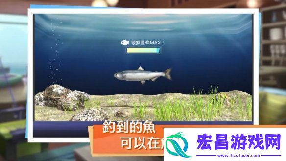 钓鱼佬狂喜！神眼钓手