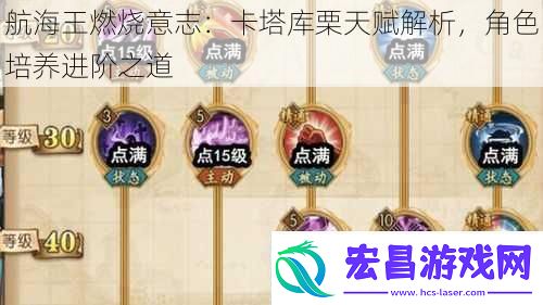 航海王燃烧意志