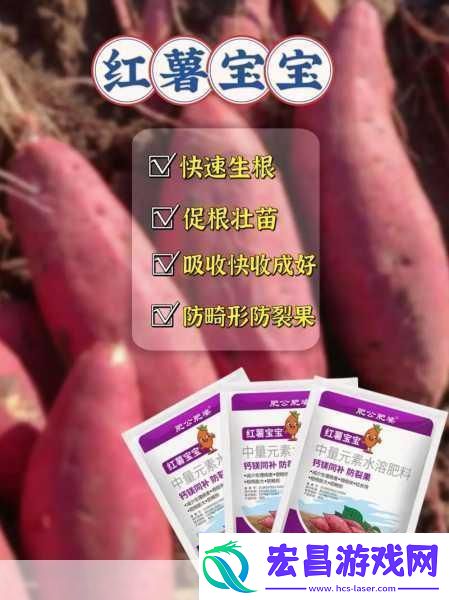 小鸡宝宝考考你