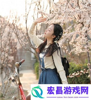 Xbox高清视频线