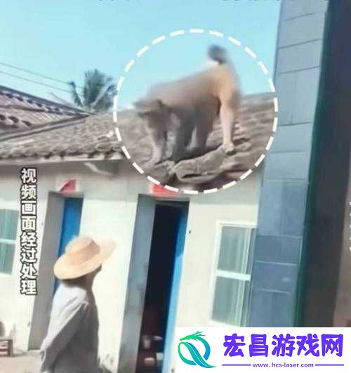 两个人生猴子全程不盖被子