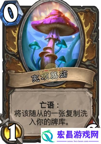亮顶奇迹