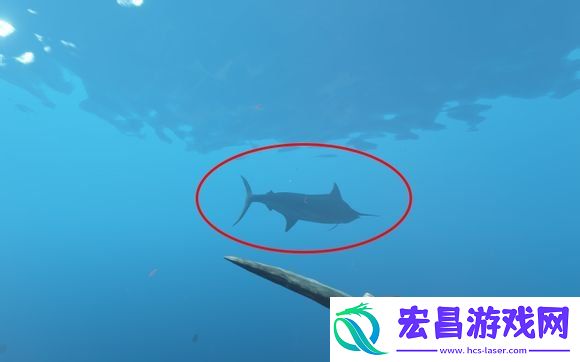 荒岛求生新手入门玩法技巧汇总荒岛求生怎么玩