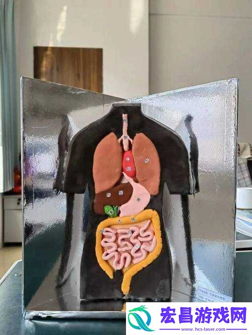 我成了生物课的教具篇1