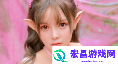 双跳DAN怎么用放在哪