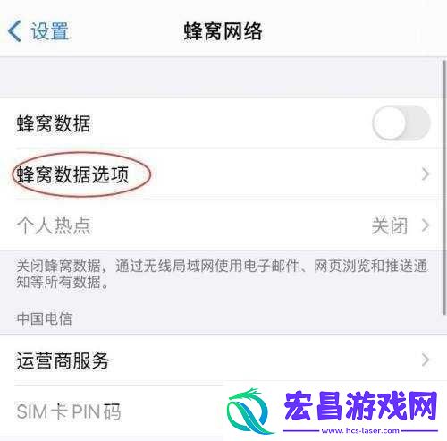 iPhone12