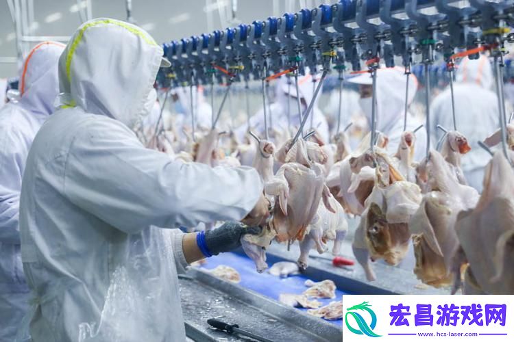 “炸裂！‘我获得了肉禽系统’横空出世
