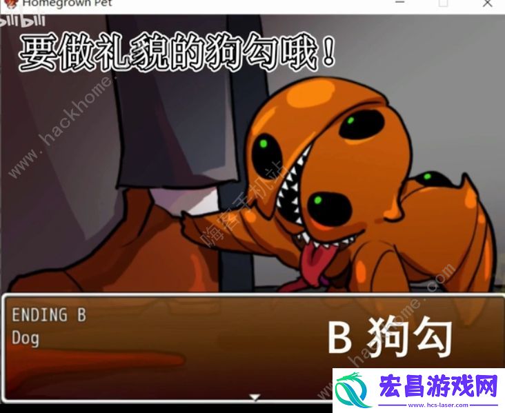 Homegrownpet怎么玩家养宠物玩法技巧