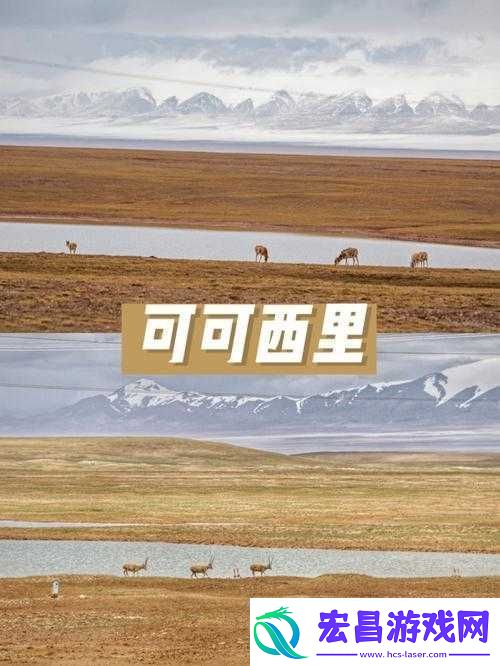 可可西里大但人文艺术听说主播众多
