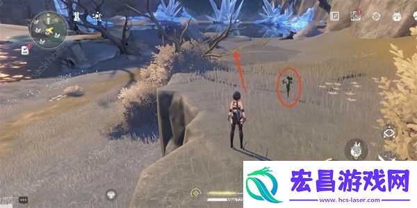鸣潮傲寒钟采集路线图