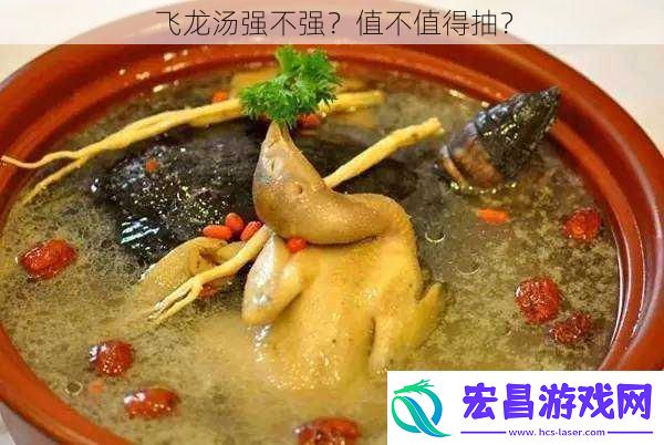 飞龙汤强不强