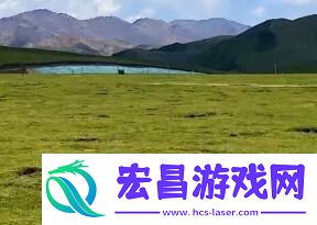 “成免费的CRMDSM”狂潮来袭