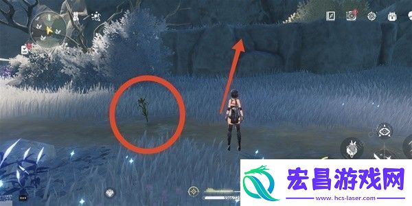 鸣潮傲寒钟采集路线图