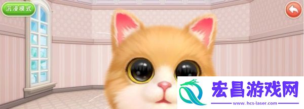 小猫爱消除