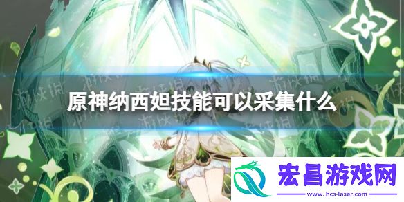 原神纳西妲技能可以采集什么原神纳西妲可采集材料一览