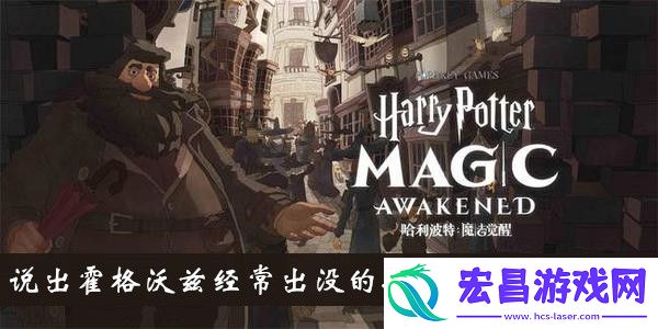 说出霍格沃兹经常出没的捣乱分子的名字