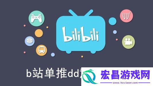 单推dd是什么意思