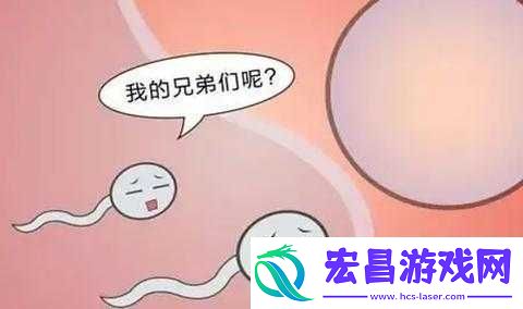 探索精二和精三的区别
