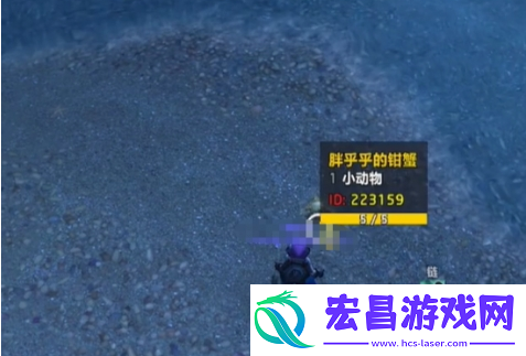 魔兽世界蓝玉蟹宠物怎么得