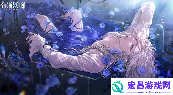 白荆回廊缇诗角色强不强