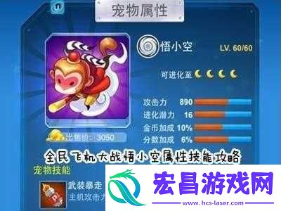 全民飞机大战悟小空满级进化指南