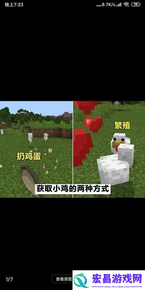我的世界鸡的喂养繁殖方法全知道