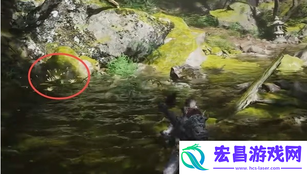 黑神话悟空碧藕种子怎么获得
