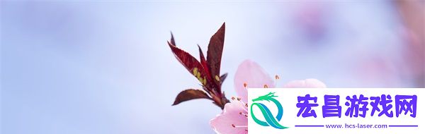 双龙戏珠1V2