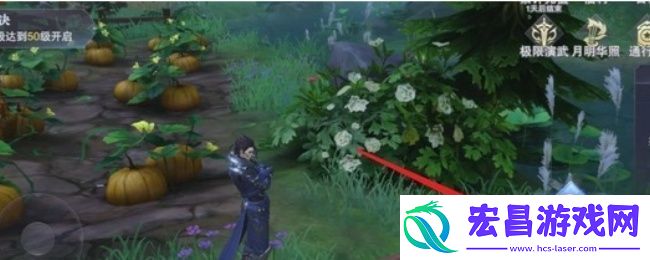 斗罗大陆手游村庄宝箱在哪