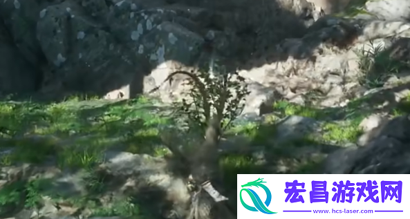 黑神话悟空漱玉花种子怎么获得