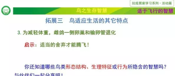 鸟德智力收益