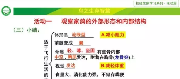 鸟德智力收益