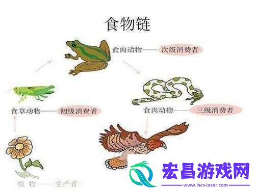 洗手间截了一段小视频食物链洗手间小视频带你探秘隐秘的食物链