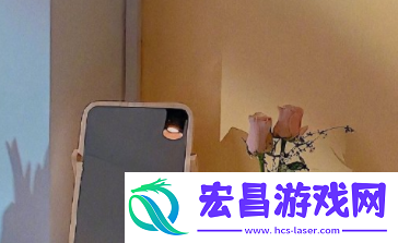 大奉打更人插花弄玉的背景故事