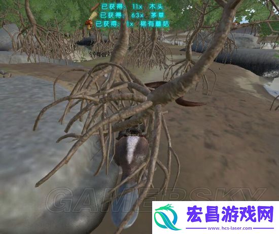 方舟生存进化新手玩法技巧介绍