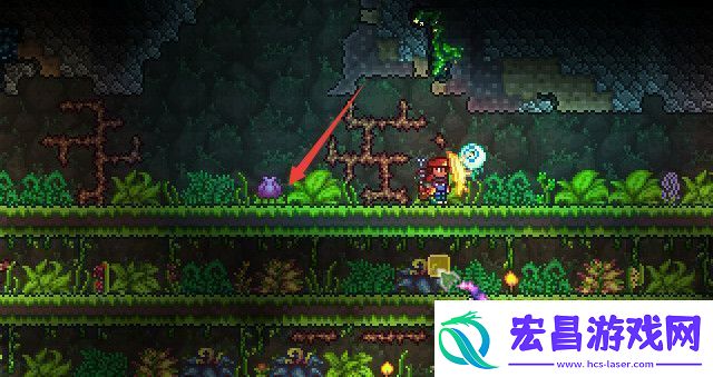 泰拉瑞亚花苞快速生成方法