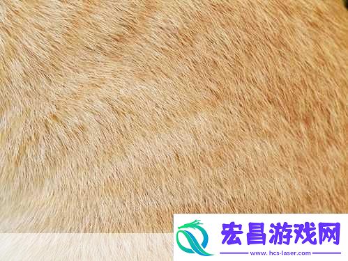 AAAA级毛皮最火的一句图片还原度清晰