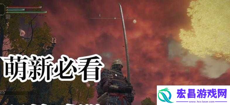 艾尔登法环怎么双持