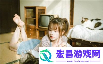 探索免费CRM之旅