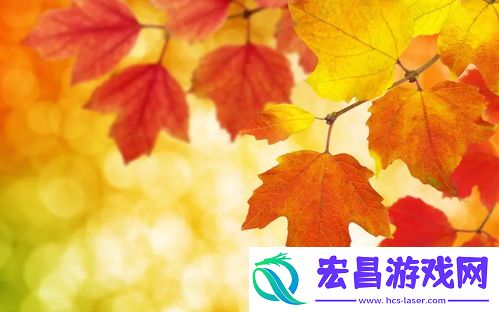 提升搜索可见度