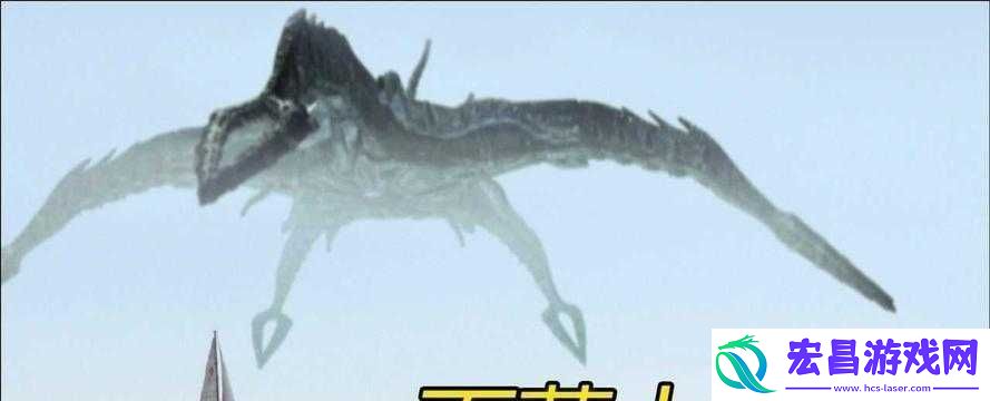 刚入睡感觉巨大的东西在动