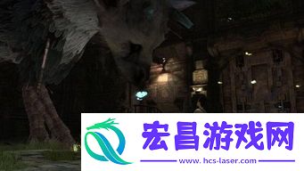 旺达与巨像、ICO及最后守护者