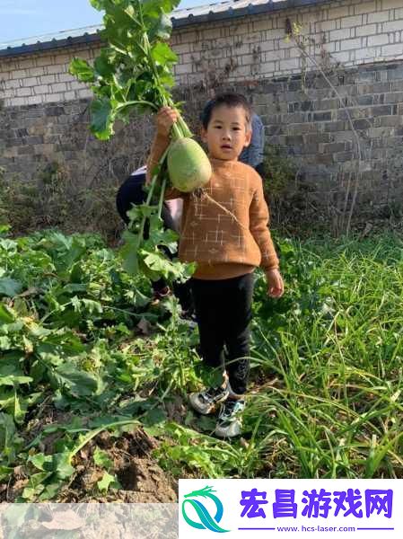 拔萝卜又叫黄降9.1