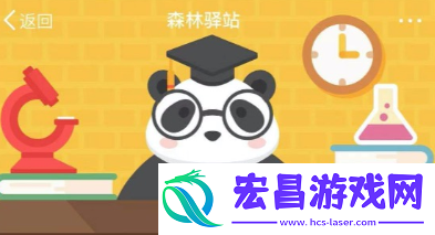 浣熊是如何抓起食物的