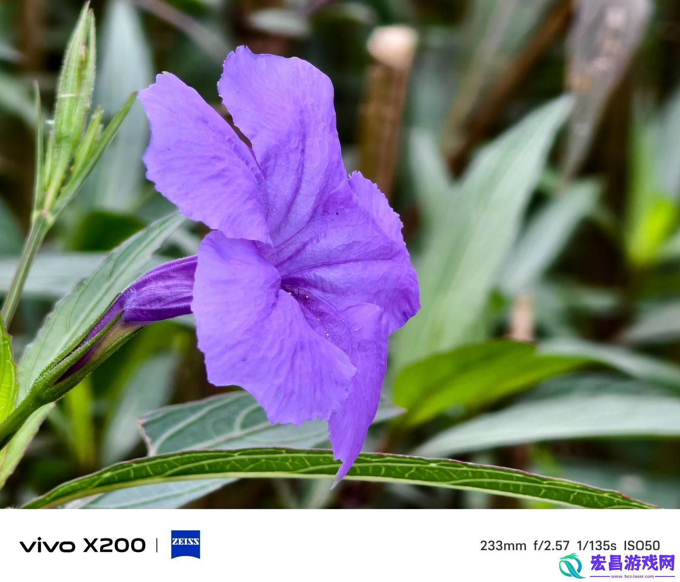 vivoX200评测