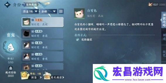 逆水寒手游育宠师怎么玩