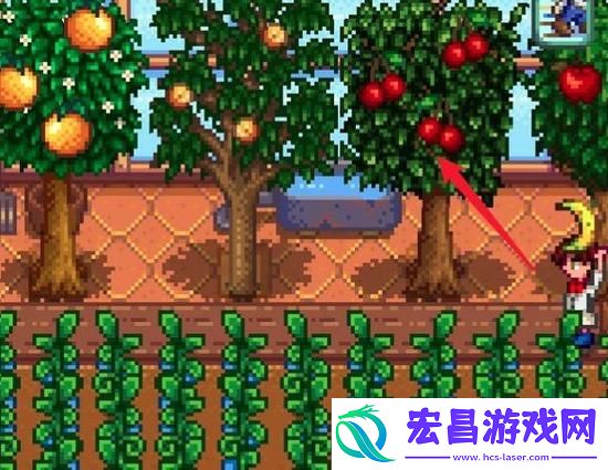 星露谷物语果酱怎么制作