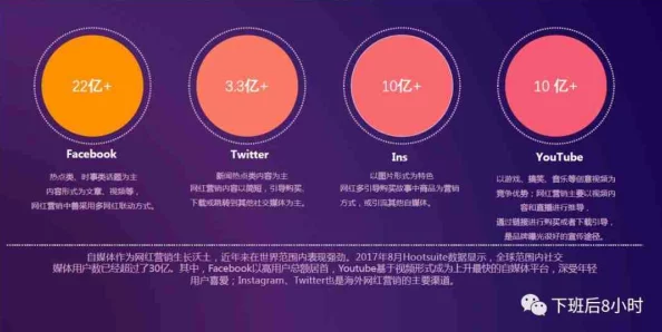 国外b站推广网站
