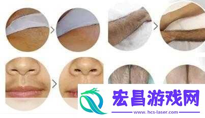 俄罗斯浓毛BBXX1.俄罗斯浓毛BBXX